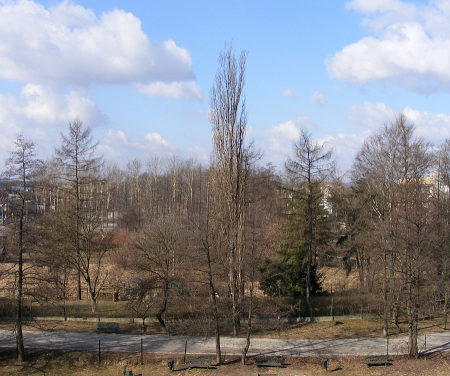2011-03-06